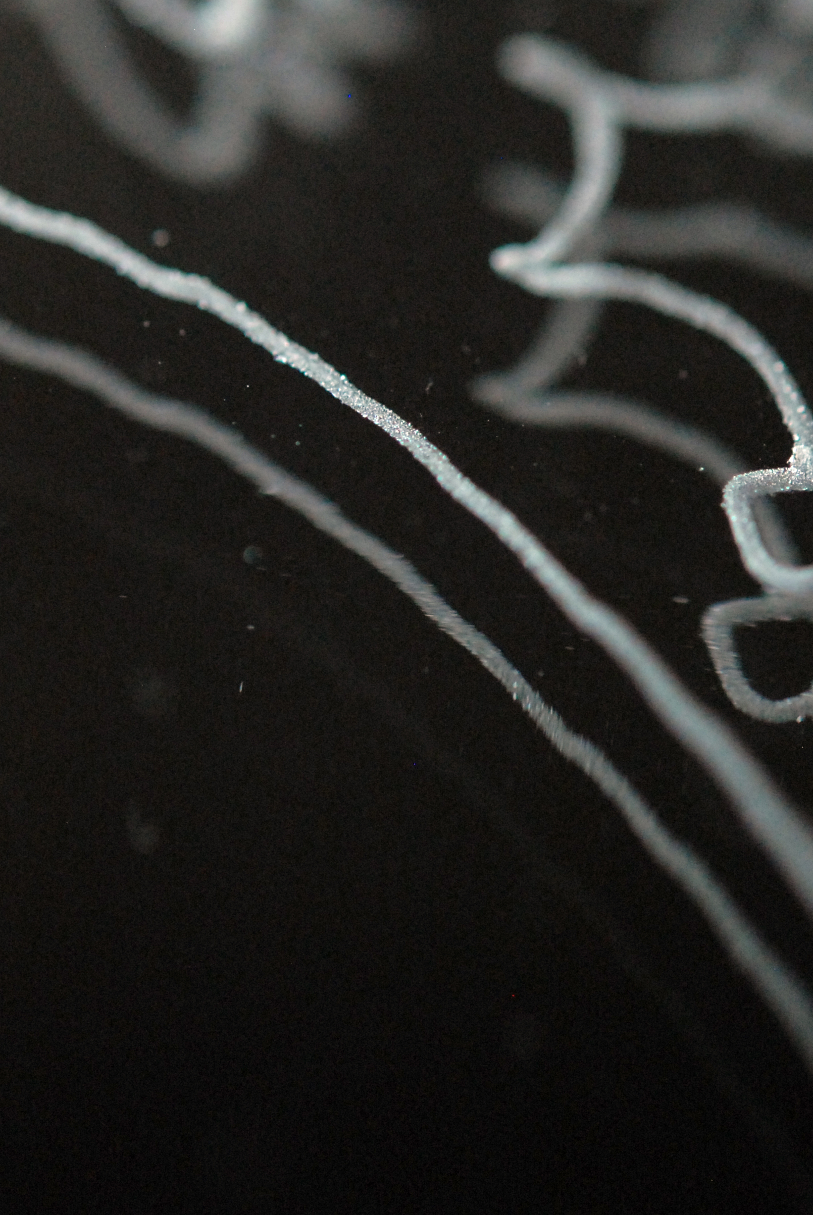 Intégrer une oeuvre dans un projet architectural